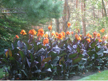 ����� 'Wyoming'