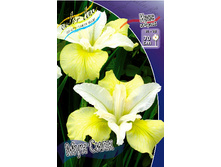 51,9���. ���� ��������� ��� ����(�������� ���� �� 2 ��., ����������� ����� 1��.).jpg