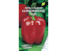 �������������� ����