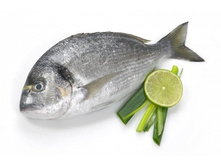 ������ 400-600