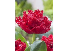 18,43���. ������� ������(�������� ���� �� 10 ��., ����������� ����� 5��.).jpg