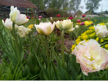 0-02-05-329db63231323839c4260d867c8dabaff65a6abac7550f4bd5c6bd8f6061f735 full.jpg