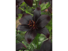 27,43���. ����� ���� ����(�������� ���� �� 7 ��., ����������� ����� 3��.)���17.jpg