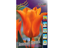 12,48���. ������� ������� �����(���������� ������ ������ ���������� �� 10 ��.).jpg