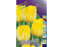 11,74���. ������� ������ ����(���������� ������ ������ ���������� �� 10 ��.).jpg