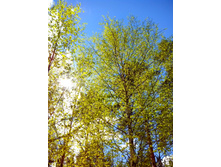 IMG 20170507 130908.jpg