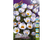 5,35���. ������ ��� ���� (����.)(���������� ������ ������ ���������� �� 10 ��.).jpg