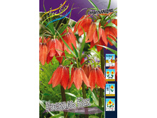 144,1���. ����������� ������� ���(�������� ���� �� 2 ��., ����������� ����� 1��.).jpg