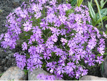 ����� ���������� �������� ��� ���������. ���� 70-100 �