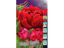 14,71���. ������� ����� �����(���������� ������ ������ ���������� �� 10 ��.).jpg