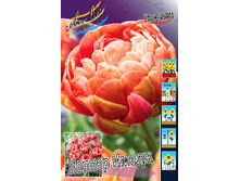 20,65���. ������� ������ �����(�������� ���� �� 10 ��., ����������� ����� 5��.).jpg