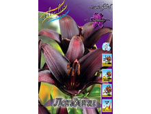 26,66���. ����� �������(�������� ���� �� 5 ��., ����������� ����� 3��.).jpg