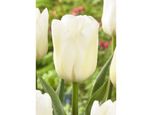 14,71���. ������� ������ ���������(���������� ������ ������ ���������� �� 10 ��.)���17.jpg