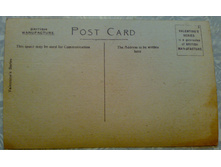 ����87 (1).jpg