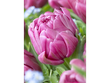 13,23���. ������� ���� �(���������� ������ ������ ���������� �� 10 ��.).jpg