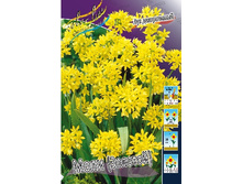 1,89���. ��� �����. ���� (�������)(���������� ������ ������ ���������� �� 15 ��.).jpg