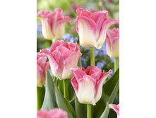 21,4���. ������� ����� �� ��������(�������� ���� �� 10 ��., ����������� ����� 5��.)���17.jpg