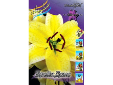 33,8���. ����� ���� ����(�������� ���� �� 5 ��., ����������� ����� 3��.).jpg