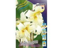 42,8���. ���������� ���� �����(�������� ���� �� 5 ��., ����������� ����� 1��.).jpg