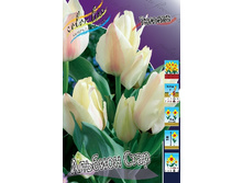 12,48���. ������� ������� ����(���������� ������ ������ ���������� �� 10 ��.).jpg