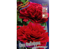 1030,5���. ���� ��� ��������(�������� ���� �� 1 ��., ����������� ����� 1��.).jpg