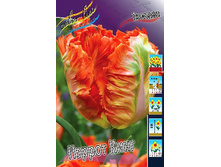 16,2���. ������� ������ ����(�������� ���� �� 10 ��., ����������� ����� 5��.).jpg