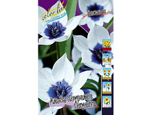 68,04���. ������� ����� �������� �������(�������� ���� �� 5 ��., ����������� ����� 1��.).jpg