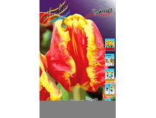 14,71���. ������� ����� ������(���������� ������ ������ ���������� �� 10 ��.).jpg