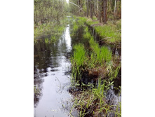 IMG 20170508 150750.jpg