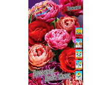 34,77���. ������� �������� ���� ����(�������� ���� �� 10 ��., ����������� ����� 5��.).jpg