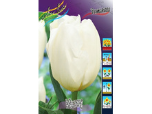 14,71���. ������� ����(���������� ������ ������ ���������� �� 10 ��.).jpg