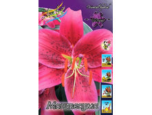 22,67���. ����� ���������(�������� ���� �� 7 ��., ����������� ����� 3��.).jpg