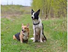 ������ � �����