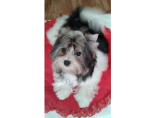 18447993 1436361499743319 153591886 n (1).jpg