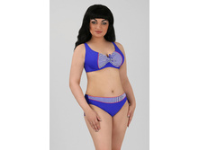 24-27 81749 ��������� ��������.jpg