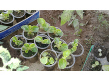 �������