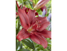 18,7���. ����� ����� ���(���������� ������ ������ ���������� �� 7 ��.).jpg