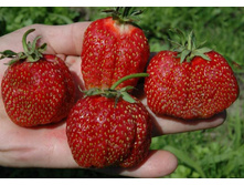 ��������� ������������.jpg