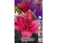 20,29���. ����� �������(�������� ���� �� 7 ��., ����������� ����� 3��.).jpg