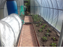 ������� ��� 2017�.