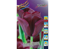 13,23���. ������� ���� ����(���������� ������ ������ ���������� �� 10 ��.).jpg