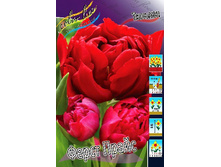 573775139fc2d 1756rub. tyulpan ferst praysryad 10 sht. zakazyvaem kratno 5sht. — �����.jpg