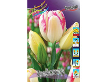 18,43���. ������� ���������(�������� ���� �� 10 ��., ����������� ����� 5��.)���16.jpg