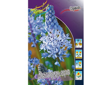 9,77���. ������ ����������(���������� ������ ������ ���������� �� 7 ��.).jpg