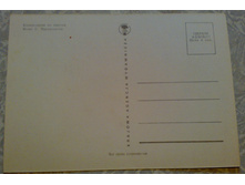 ����26 (1).jpg