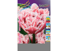 17,68���. ������� �����(�������� ���� �� 10 ��., ����������� ����� 5��.).jpg