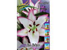 27,44���. ����� �� ���(�������� ���� �� 5 ��., ����������� ����� 3��.)���16.jpg