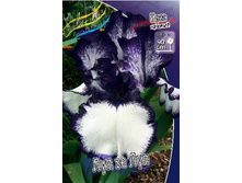 81,8���. ���� ���������� ��� �� ���(�������� ���� �� 2 ��., ����������� ����� 1��.).jpg