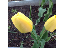 �������� � �����