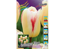 12,19���. ������� ������� ����(���������� ������ ������ ���������� �� 10 ��.)���16.jpg